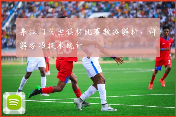 弗拉门戈世俱杯比赛数据解析，详解各项技术统计