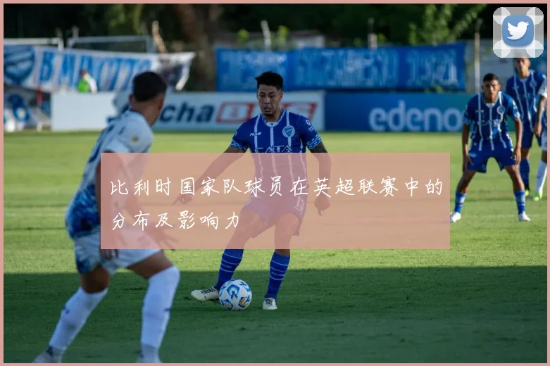 比利时国家队球员在英超联赛中的分布及影响力