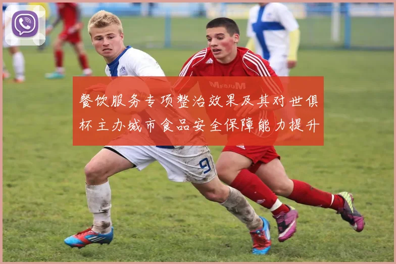 餐饮服务专项整治效果及其对世俱杯主办城市食品安全保障能力提升