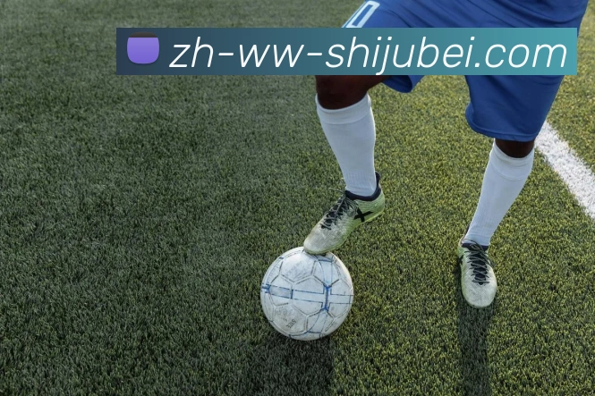 数据防护可视化